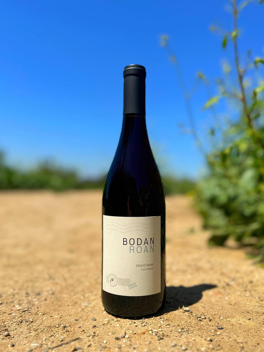 Bodan Roan Pinot Noir Shop Silverlakewine